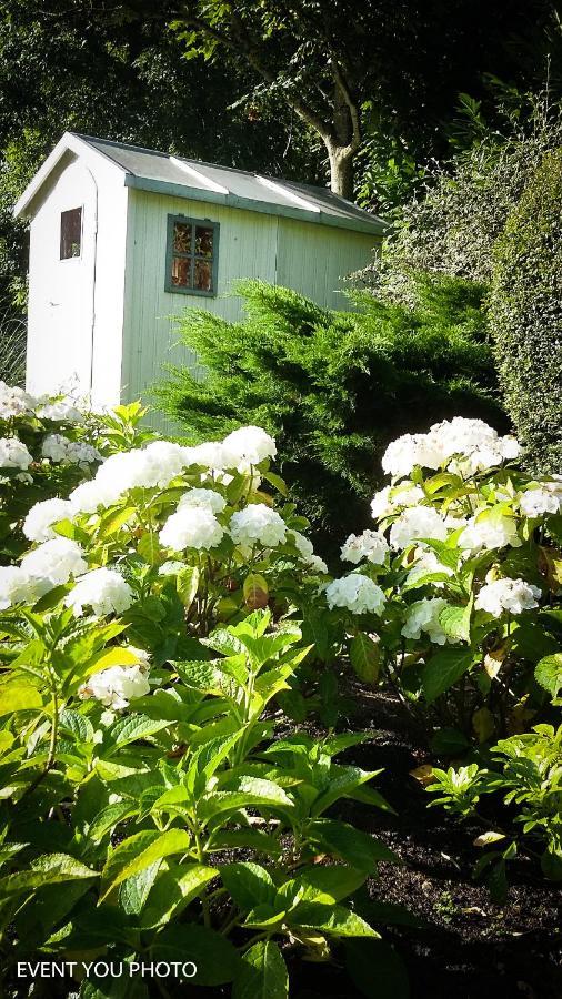 Les Hauts De La Cluse Wimille Exterior foto